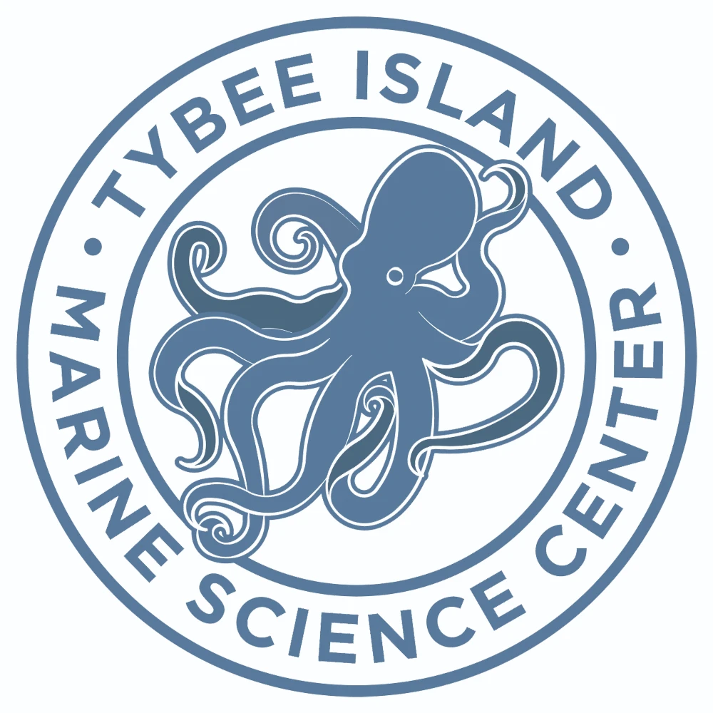 Tybee Island Marine Science Center 1