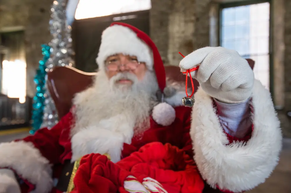 Savannah Santa Train