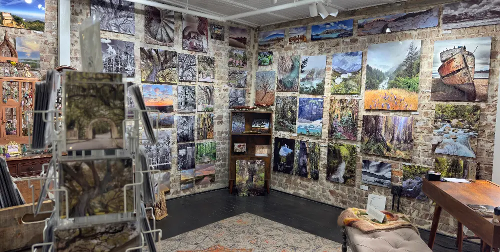 Molly Cusick Photography and Cathy Sizer Designs Studio 109