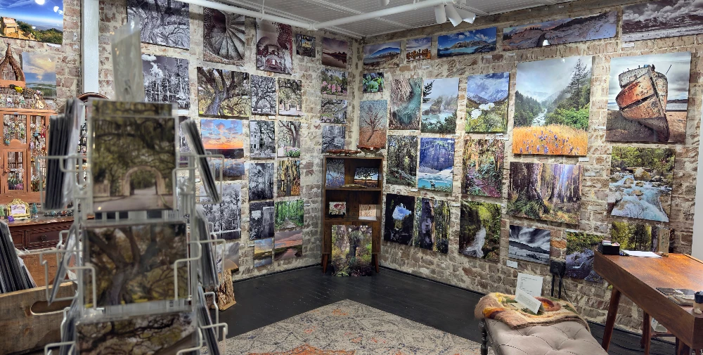 Molly Cusick Photography and Cathy Sizer Designs Studio 109 1