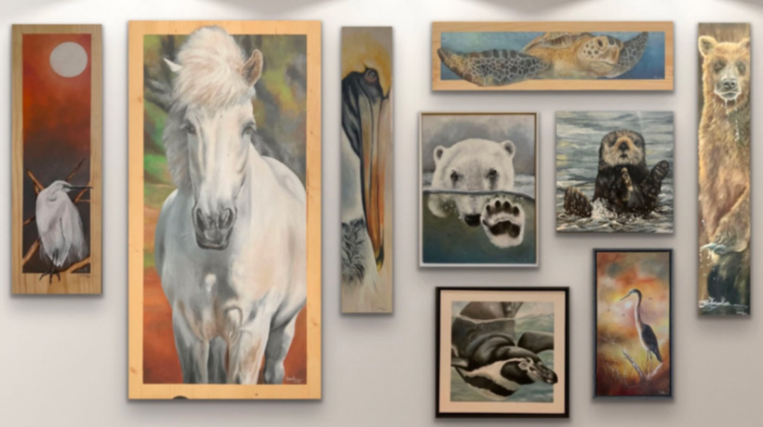 Alpha Mare Gallery