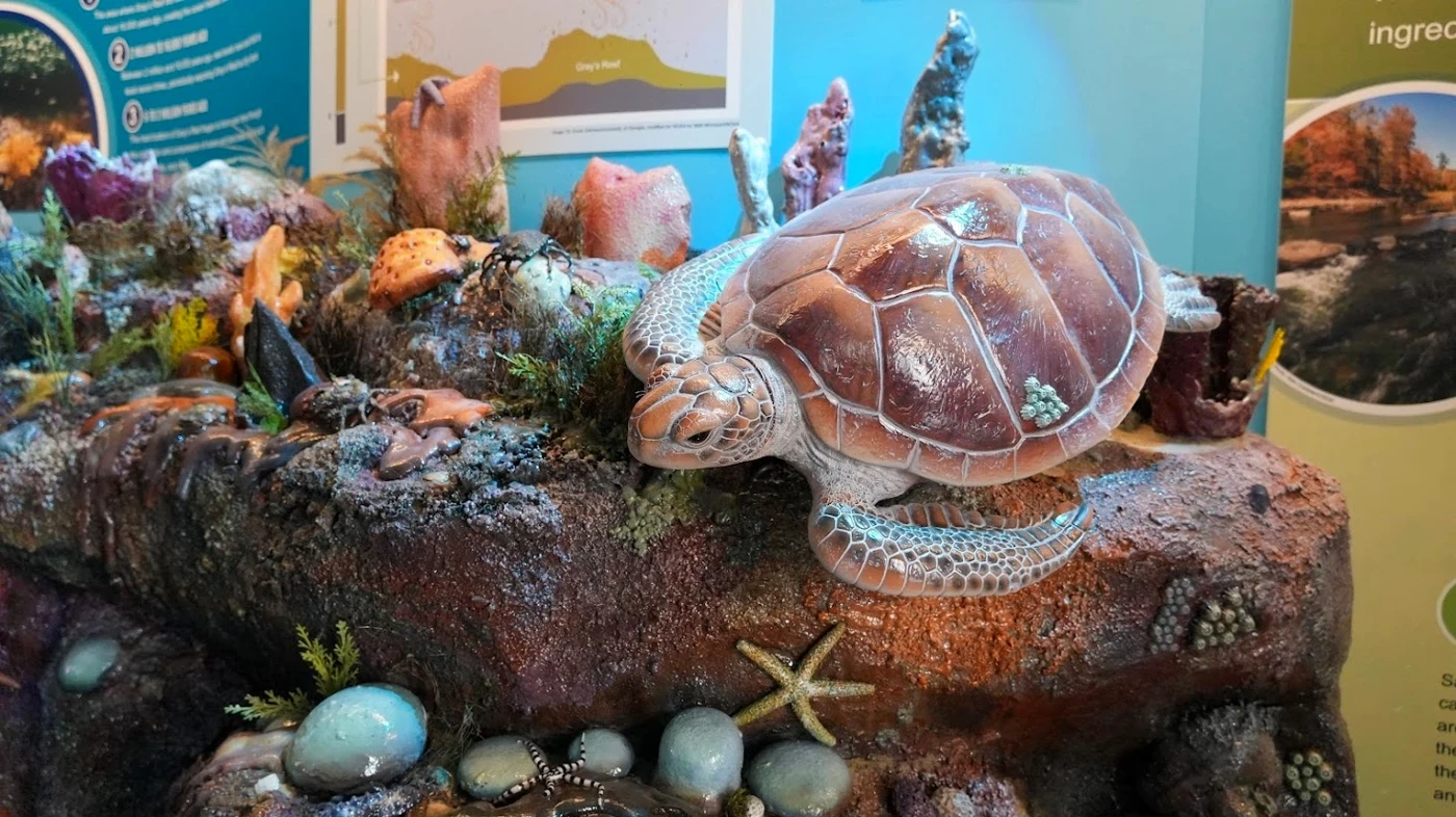 National Marine Sanctuary Foundation 1