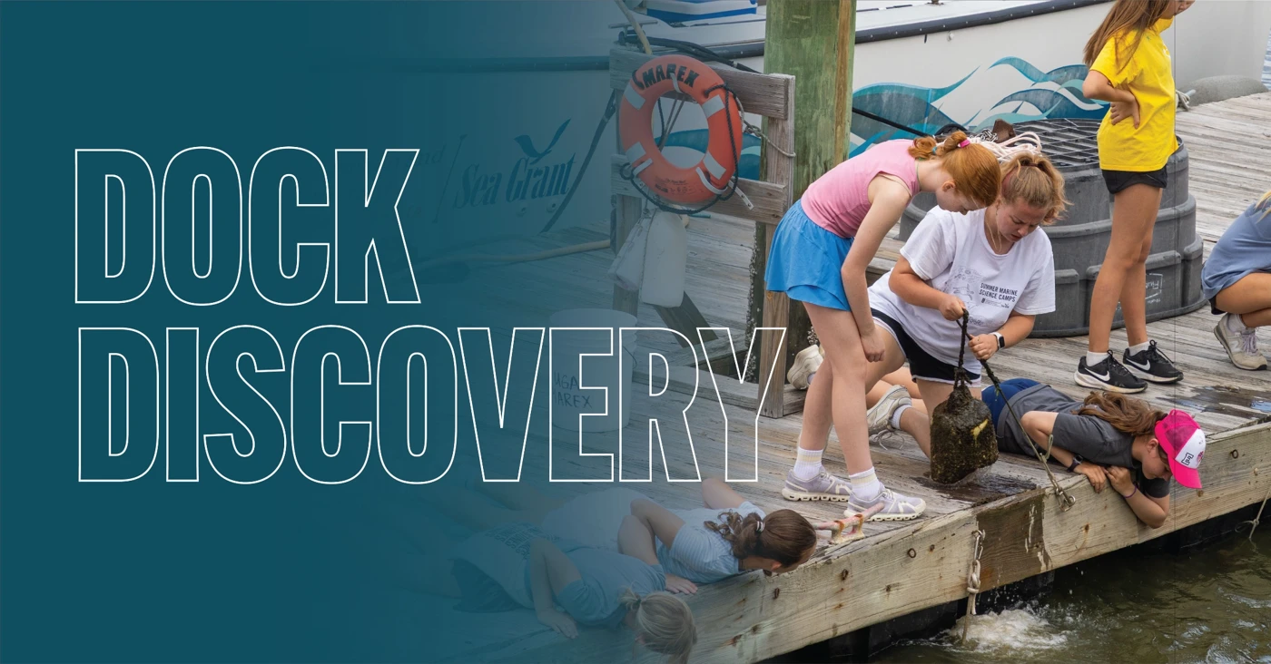 Dock Discovery 1