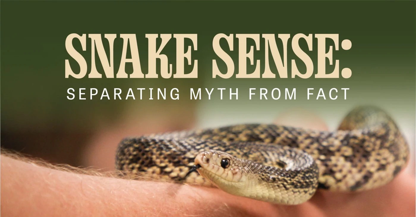 Snake Sense: Separating Myth from Fact 1