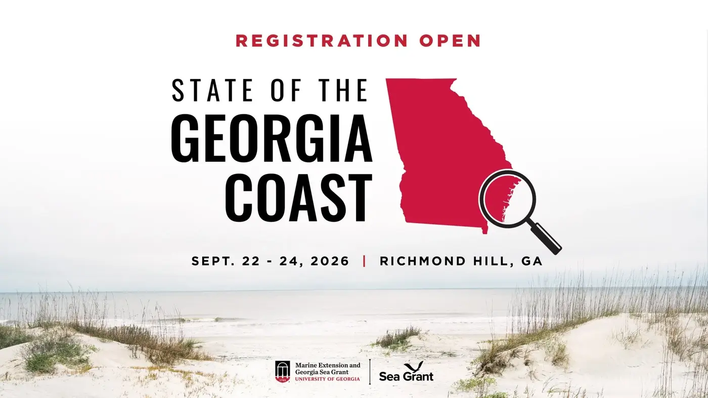 State of the Georgia Coast