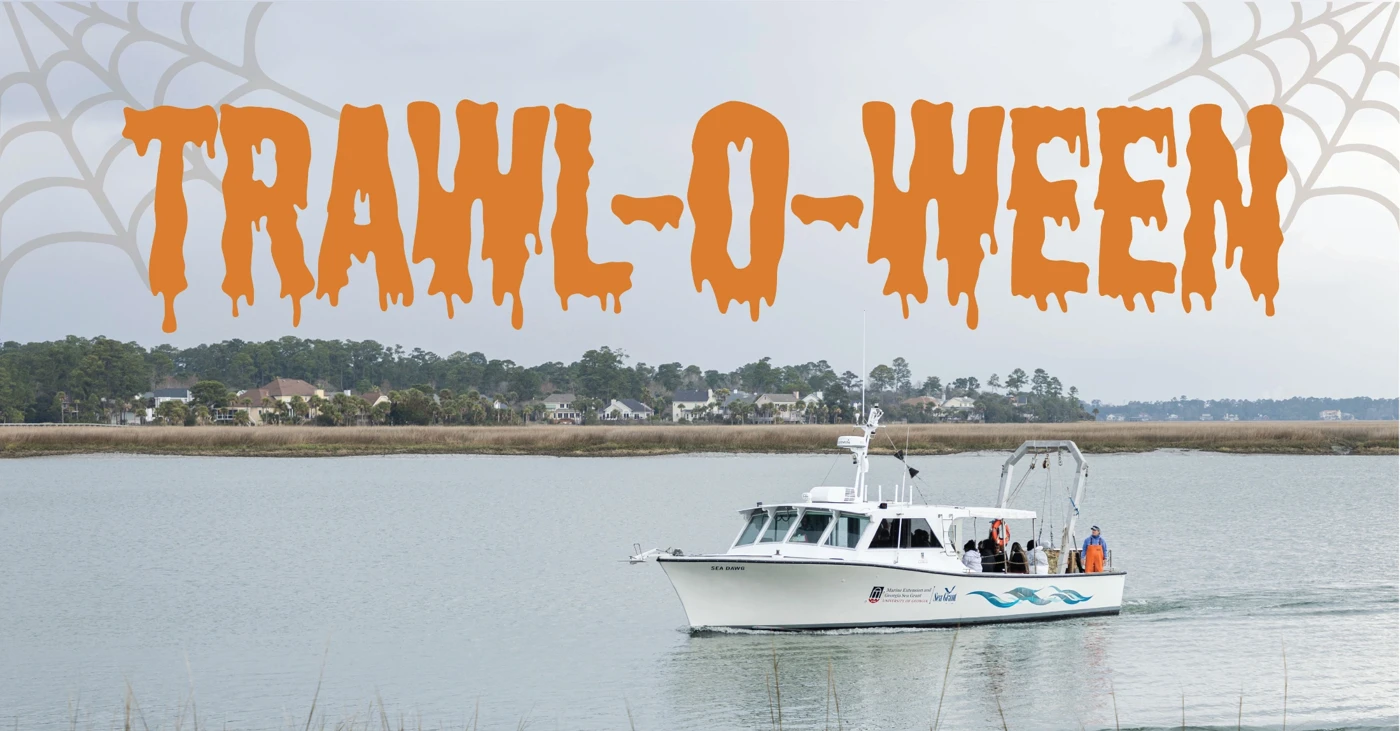 TRAWL-O-WEEN 1