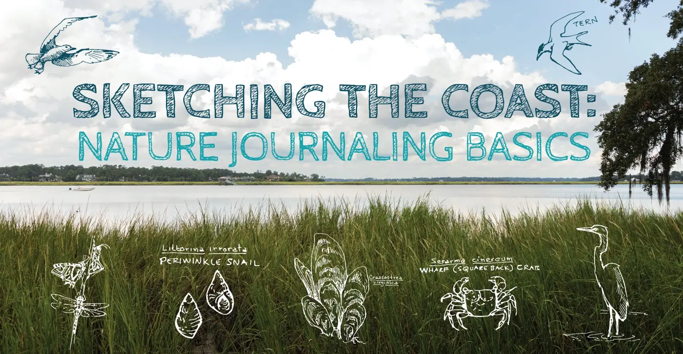 Sketching the Coast: Nature Journaling Basics