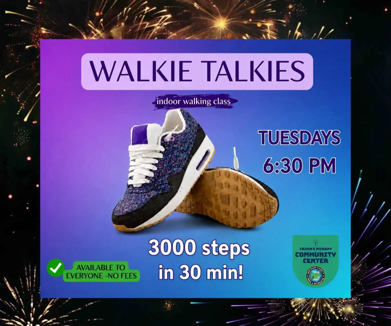 PM Walkie Talkies